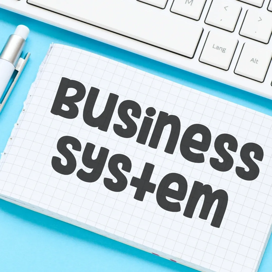 Picture stating business system
